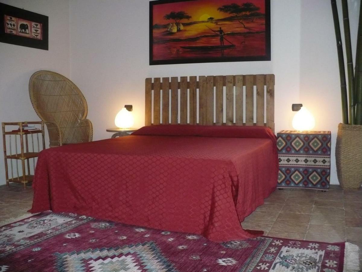 Bed and Breakfast L'Albero Della Gioia Villanova sull'Arda Exteriér fotografie