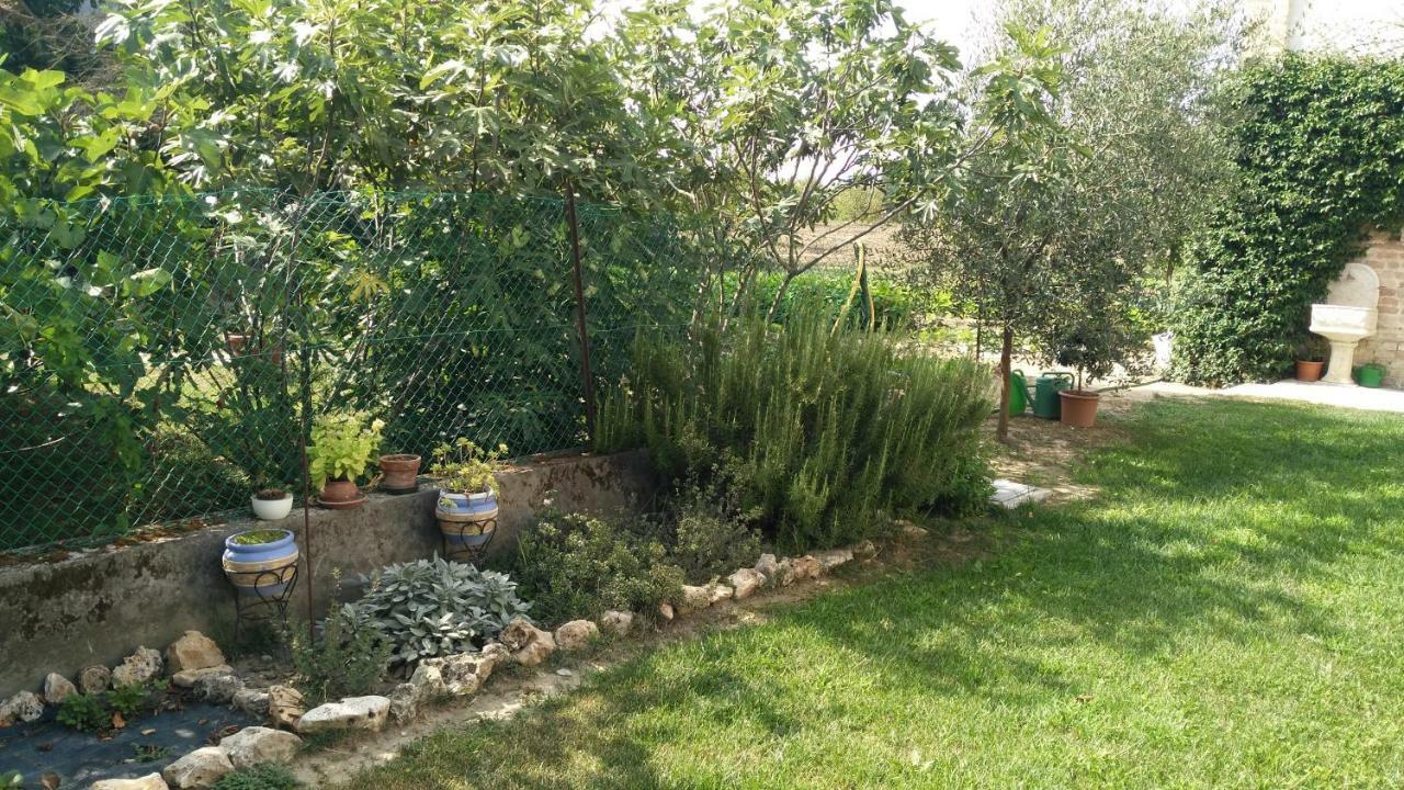 Bed and Breakfast L'Albero Della Gioia Villanova sull'Arda Exteriér fotografie